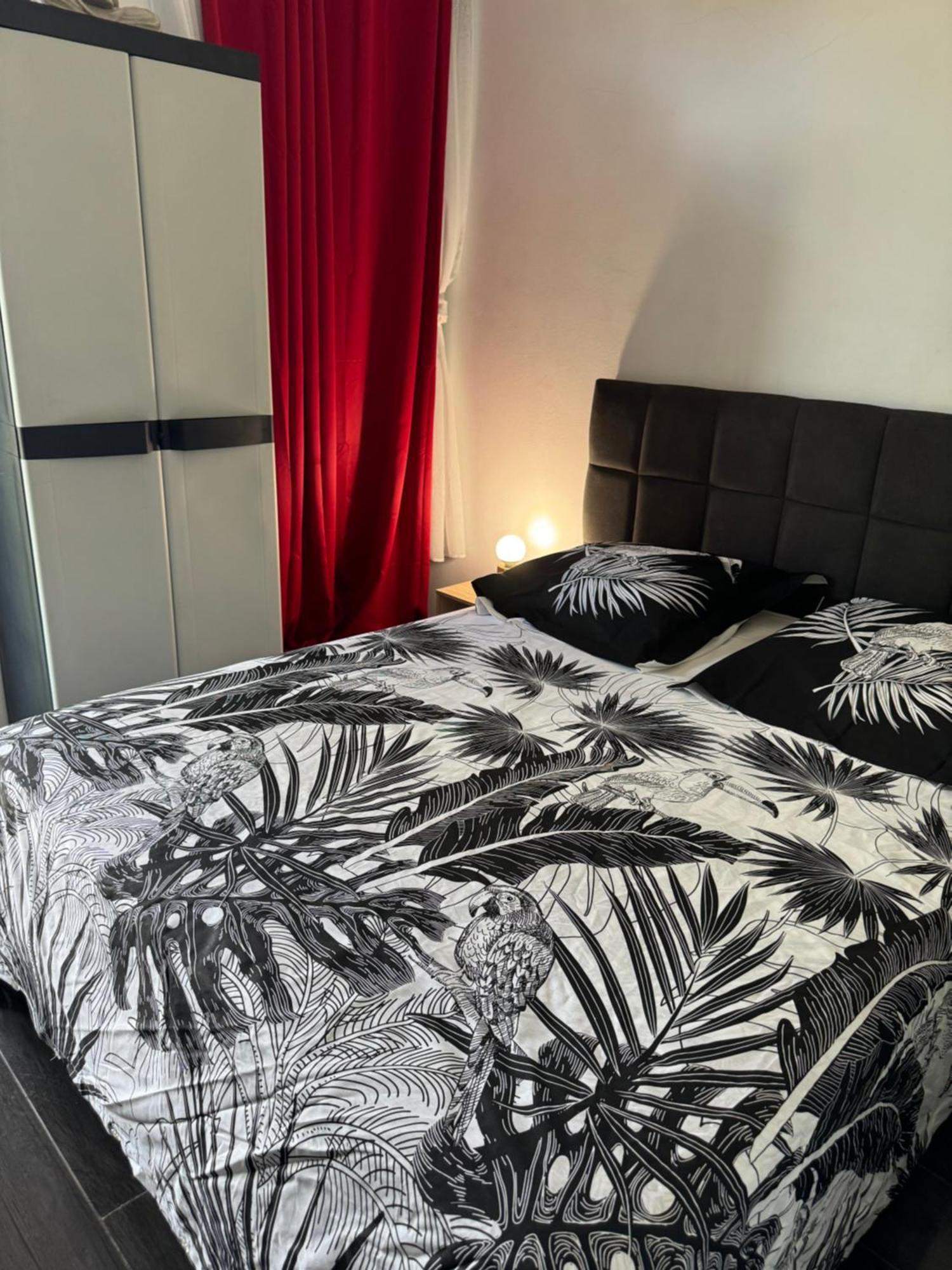 Skys Location Pakehina Bed & Breakfast Schoelcher Bagian luar foto